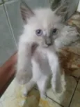 De um nome