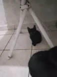 Não tem nome