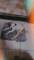 Paçoca