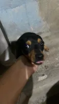Betovem