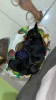Não possui nome ainda 