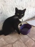Preta