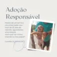 Filhotes para adoção