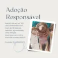 Filhotes para adoção