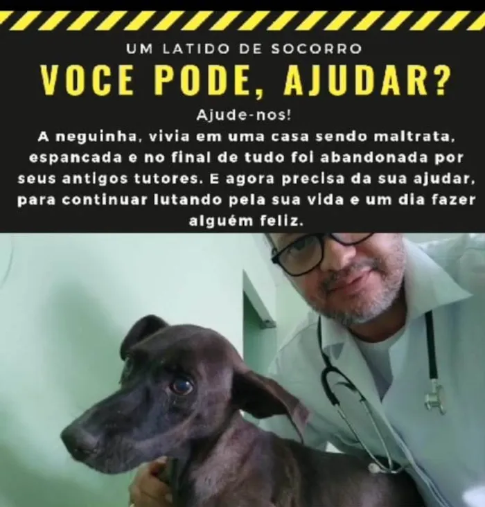 Cachorro ra a SRD-ViraLata idade 1 ano nome Neguinha 