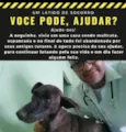 Neguinha