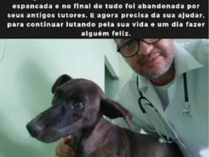 Cachorro raça SRD-ViraLata idade 1 ano nome Neguinha 