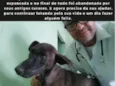 Neguinha