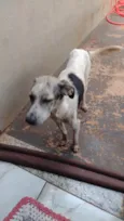 Não sei