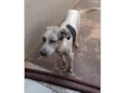 Não sei