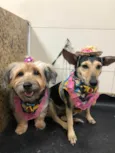 Lua e Sol