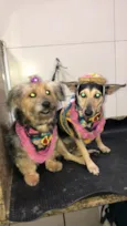 Lua e Sol