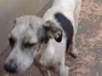 Não sei