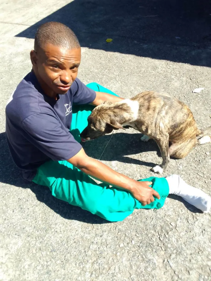 Cachorro raça SRD-ViraLata idade 3 anos nome Neguinha