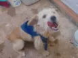 Bob