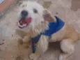 Bob