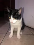 Kiara