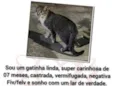 Tigrada