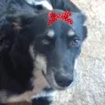 Rubi 