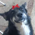 Rubi 