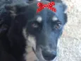 Rubi 