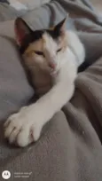 Linda