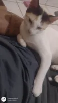Linda