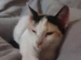 Linda