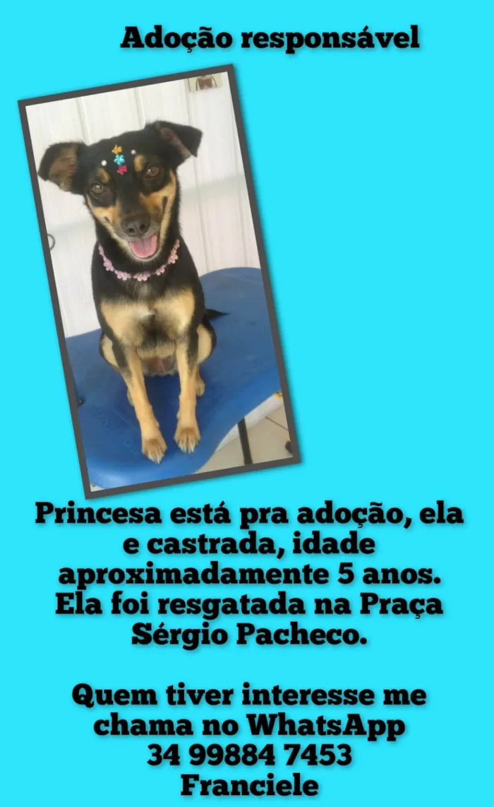 Cachorro ra a SRD-ViraLata idade 5 anos nome Princesa