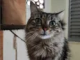 Mel