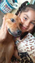 Sofhy