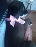 Linda