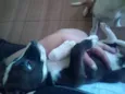 Linda