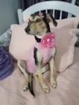 Agatha
