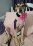 Agatha