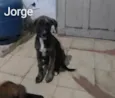 Magali e Manoel 