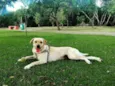 Tekila