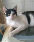 Henry