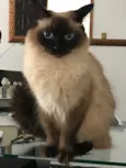 Pepe