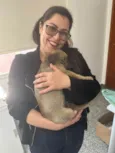 Cachorro raça SRD idade Abaixo de 2 meses nome Sem nome 