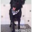 Billy