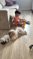Billy