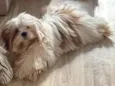 Billy