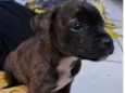 Tina