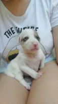 Kiko