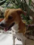 Ralf