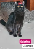 Sabrina