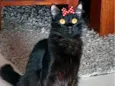 Sabrina