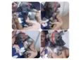 Loly