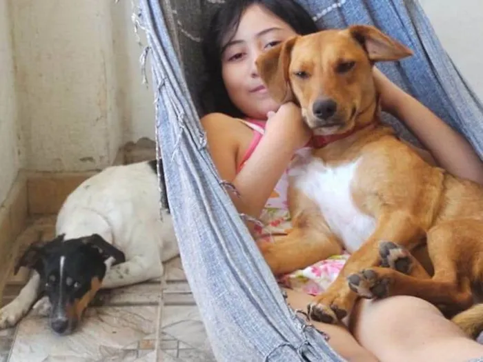 Cachorro ra a SRD-ViraLata idade 1 ano nome Preta e Amora